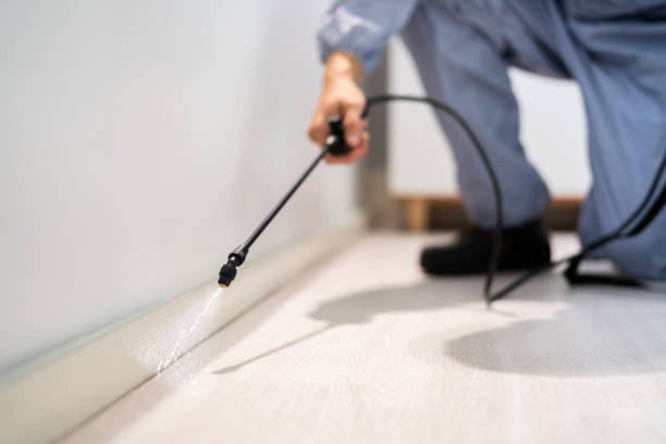 Licensed Cockroach Control service in Hampton, VA - Nex Pest Control