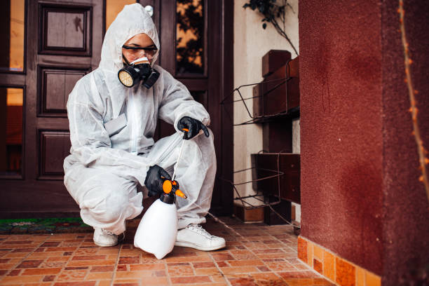 Reliable Cockroach Control contractor in Hampton, VA by Nex Pest Control
